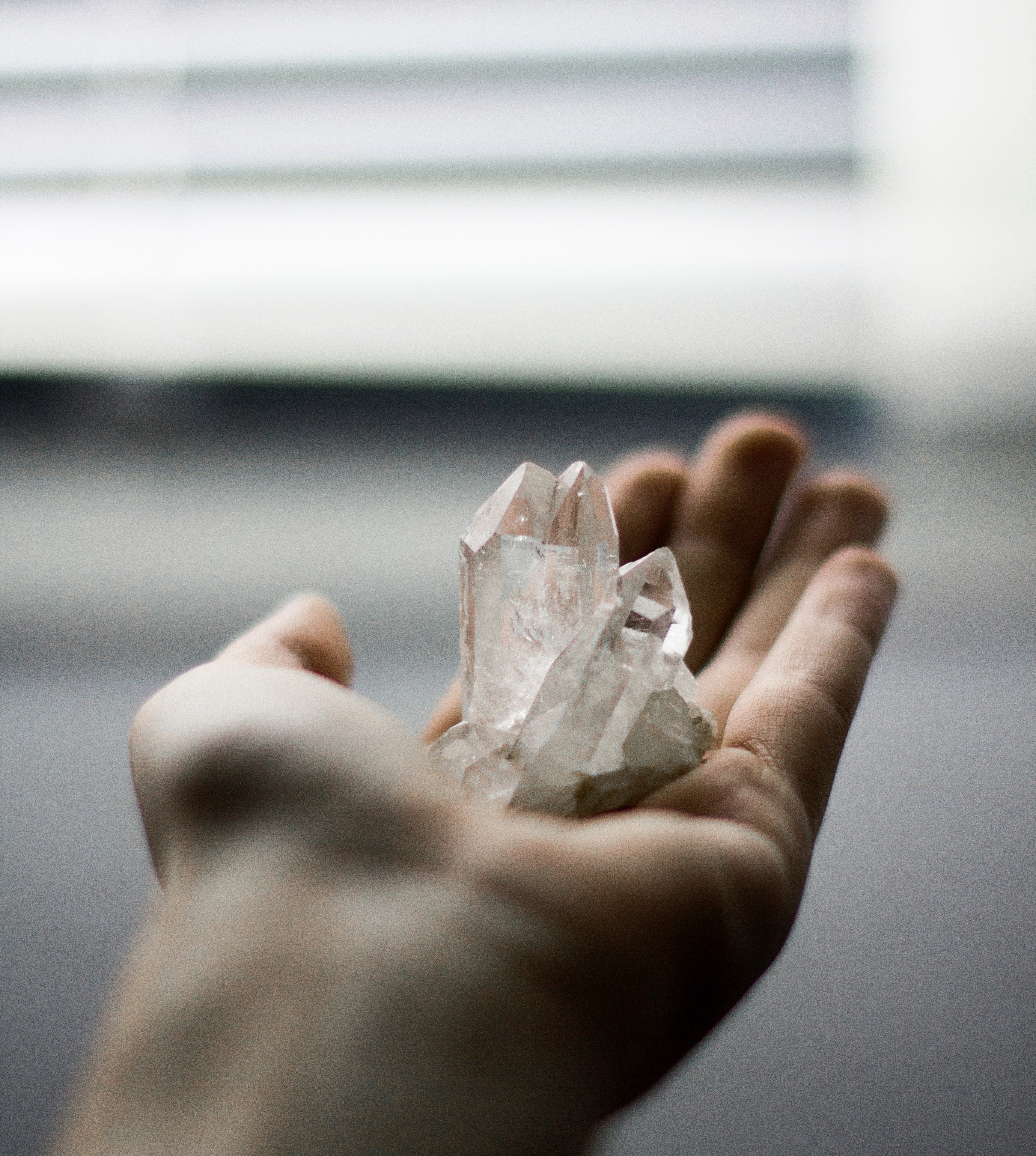 kira-auf-der-heide-hu1pjvyvdxi-unsplash-2